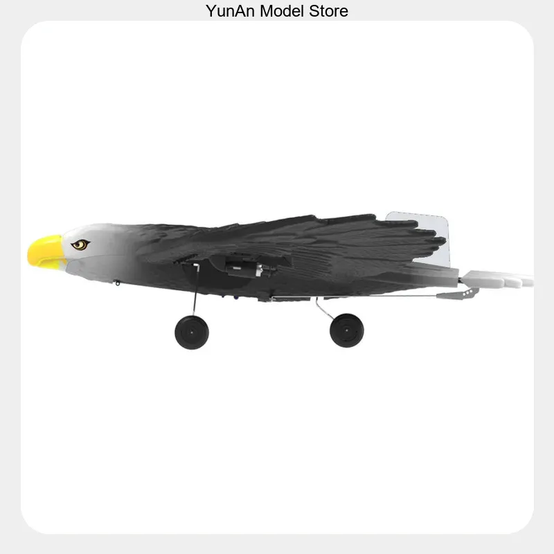 BM17 Planador RC de Asa Fixa 3 - Rc Hobby Canada avaliação e preço